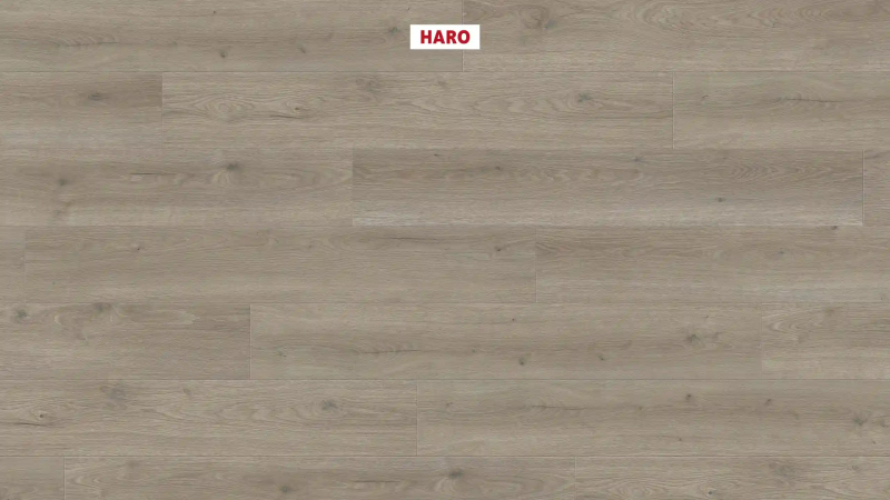 Ламинат Haro Tritty 200 Aqua Дуб Флавия Серый 544760