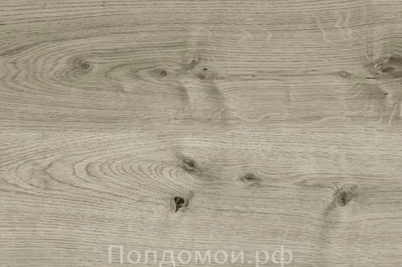 Замковое пробковое покрытие с фотопечатью Corkstyle Oak Grey