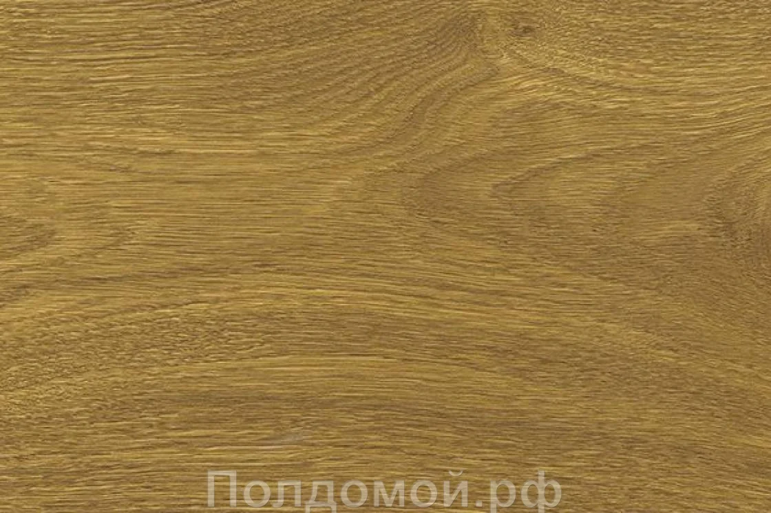 Клеевое пробковое покрытие с фотопечатью Corkstyle Oak Knotty