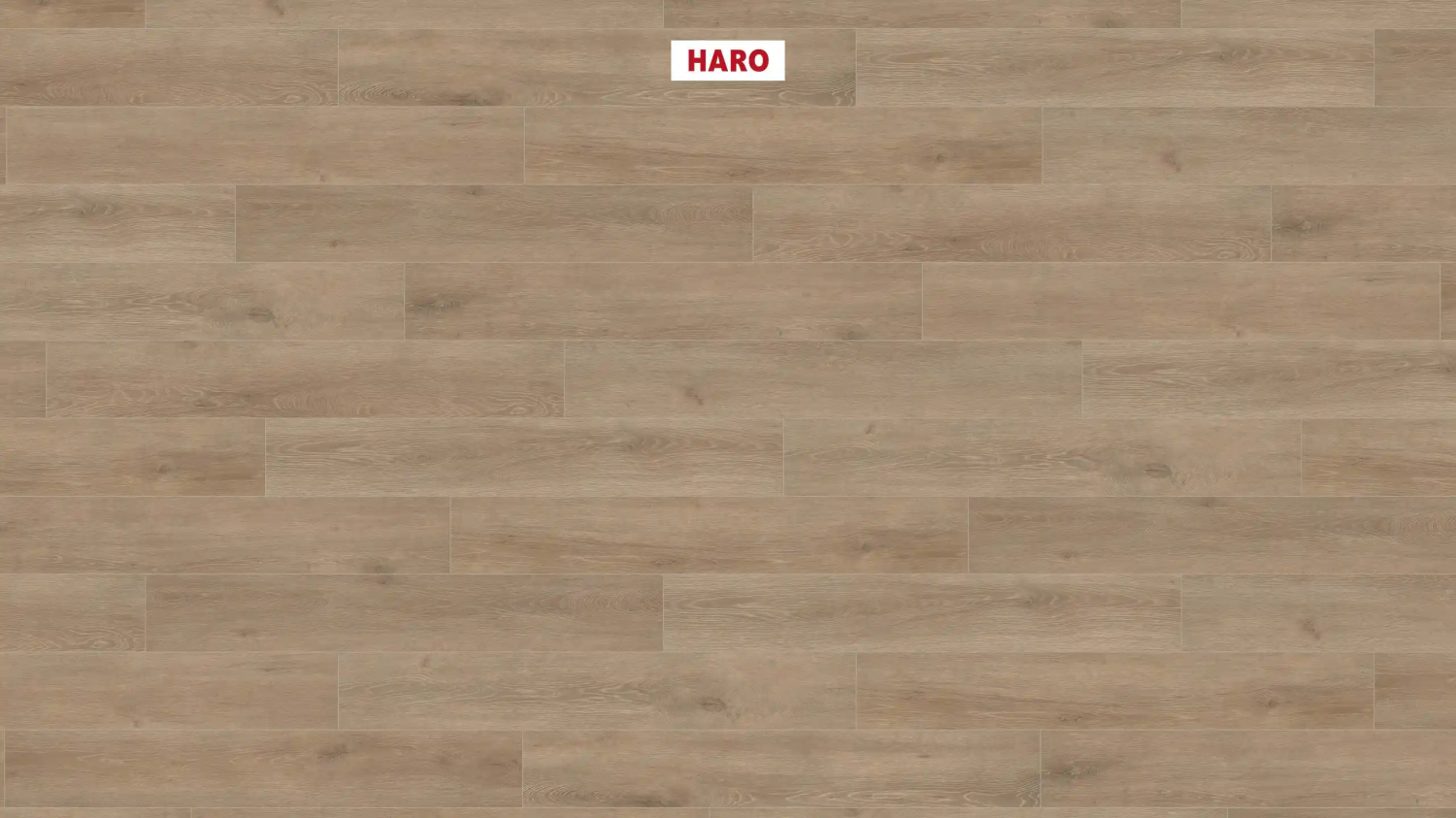 Ламинат Haro Tritty 200 Aqua 4V Дуб Венето Кремовый 541560
