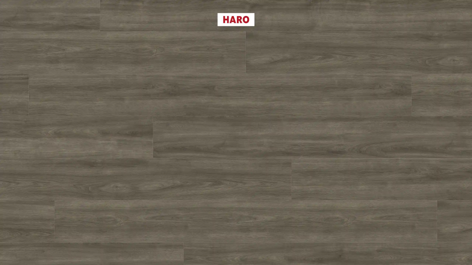 Ламинат Haro Tritty 100 Gran Via 4V Дуб Элеганза Античный Серый 541514