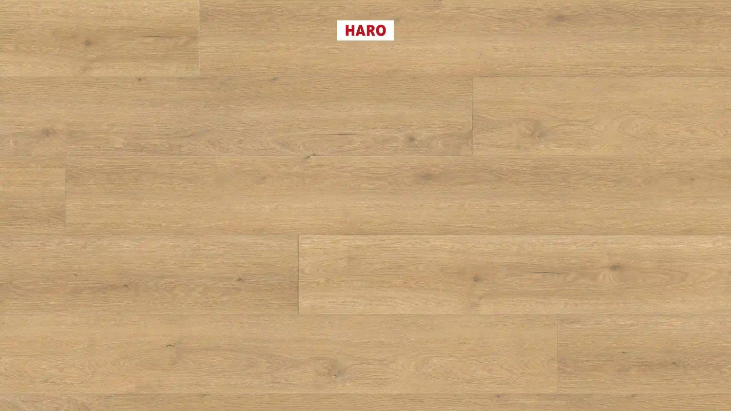 Ламинат Haro Tritty 100 Gran Via Дуб Флавия Пуро 544735