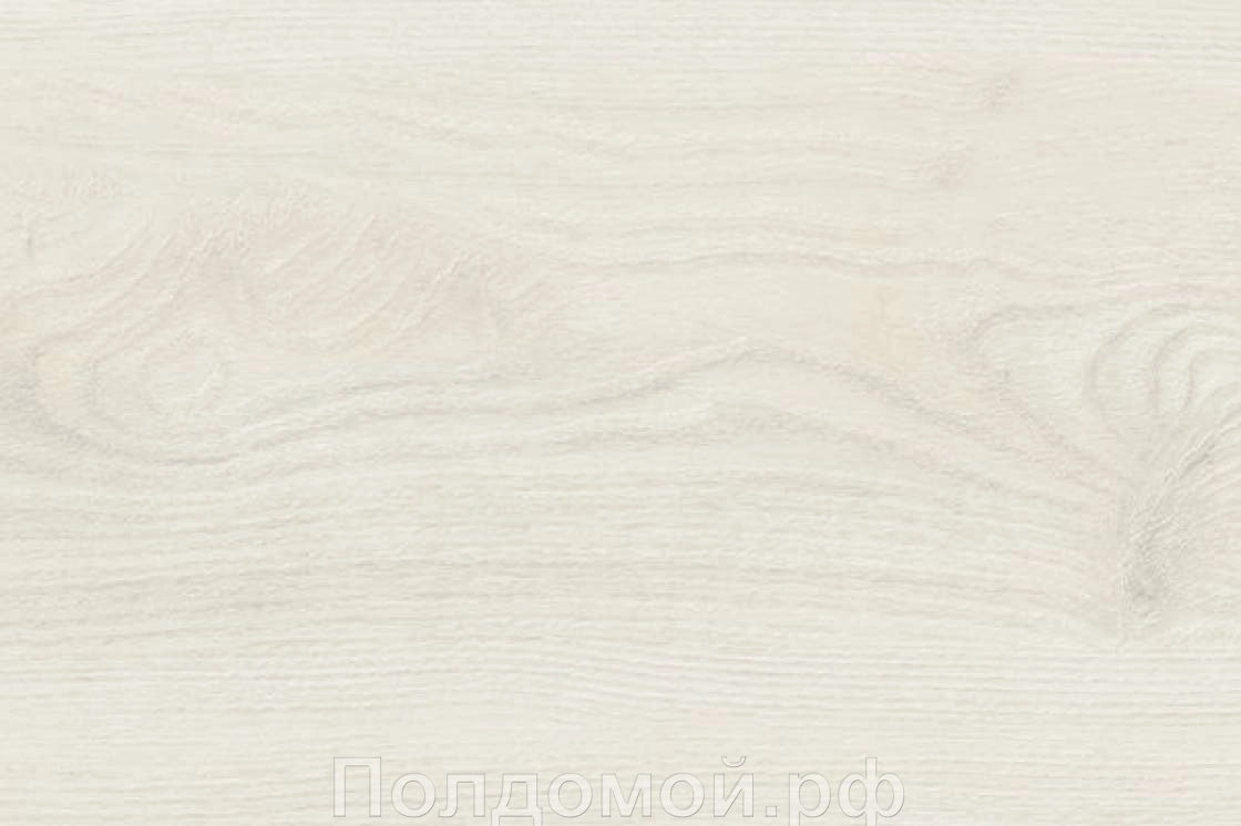 Клеевое пробковое покрытие с фотопечатью Corkstyle Oak White