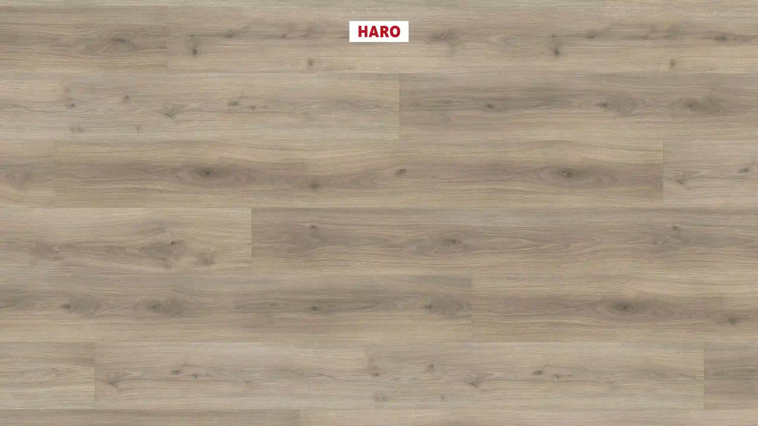 Ламинат Haro Tritty 100 Gran Via Дуб Эмилия Вельвет Серый 538770