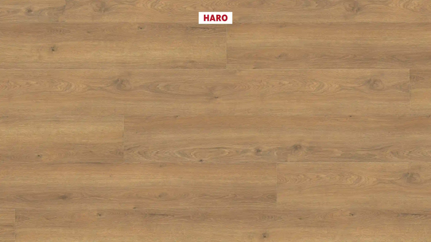 Ламинат Haro Tritty 100 Gran Via Дуб Флавия Натур 544732