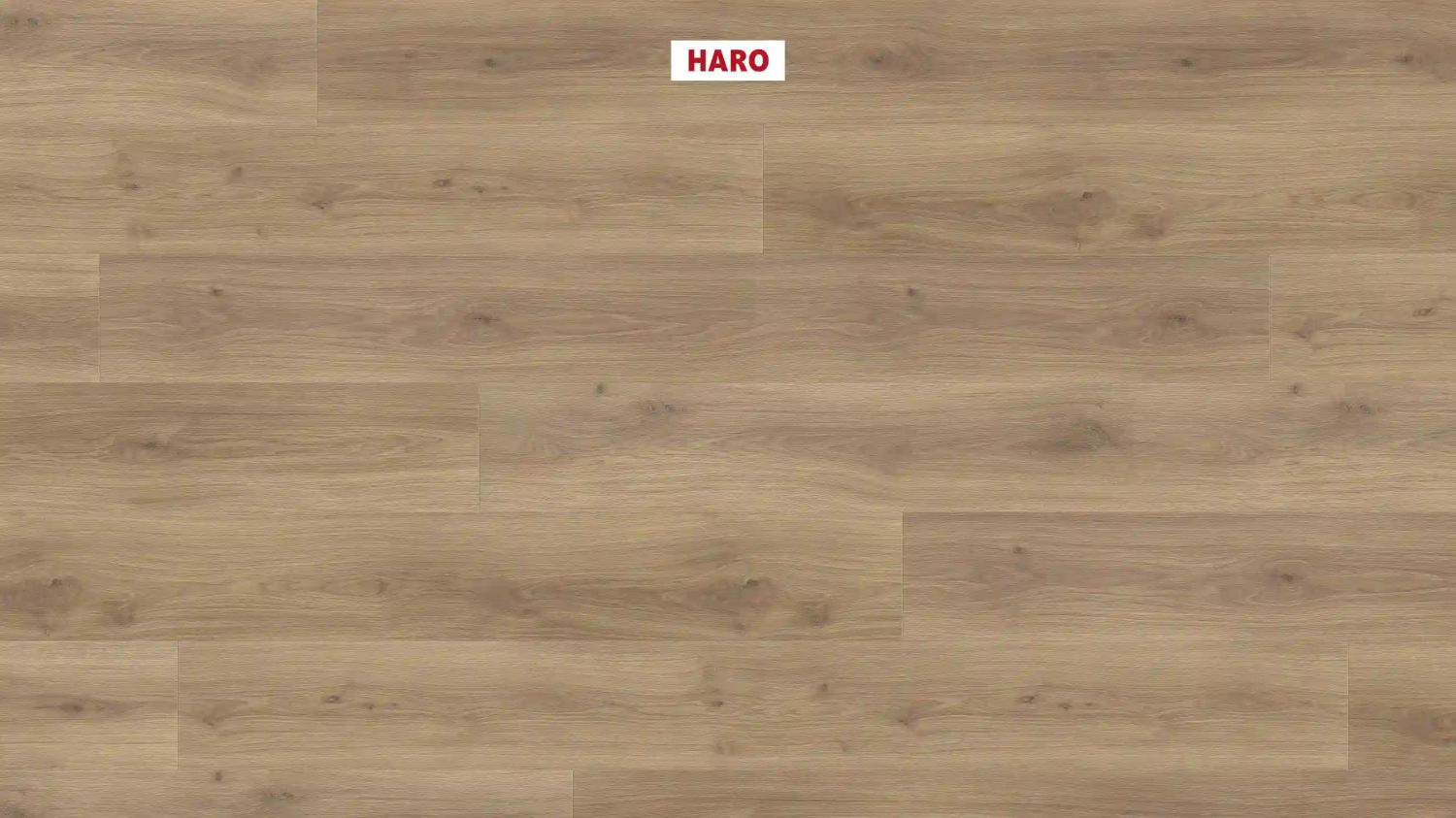 Ламинат Haro Tritty 100 Campus 4V Дуб Эмилия Пуро 538750