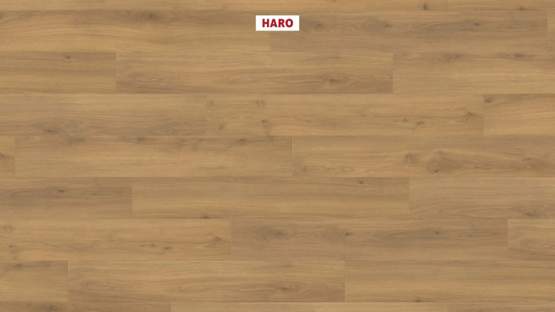 Ламинат Haro Tritty 100 Campus 4V Дуб Эмилия Медовый 541541