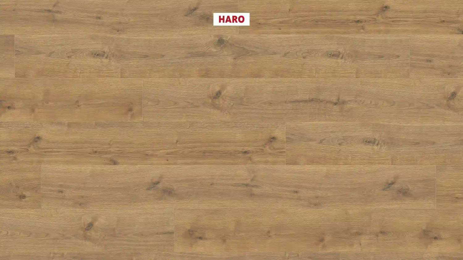 Ламинат Haro Tritty 100 Gran Via Дуб Портлэнд Натур 533141