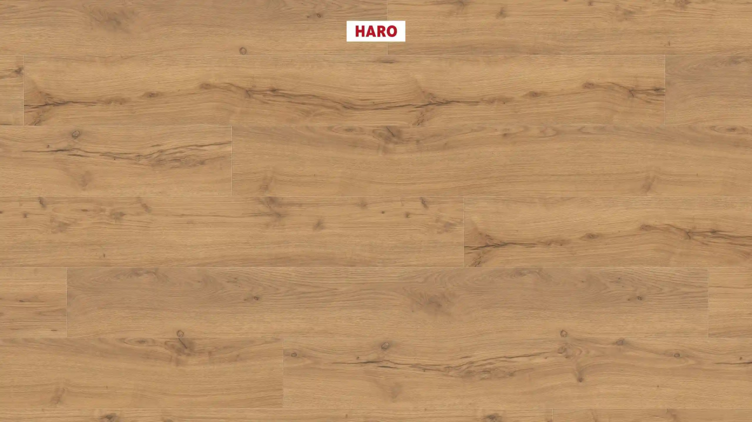 Ламинат Haro Tritty 100 Campus 4V Дуб Альпийский Натур 532063