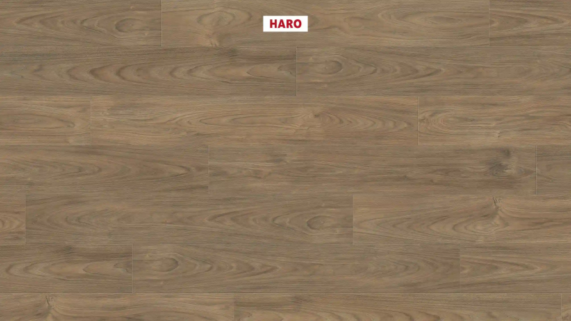 Ламинат Haro Tritty 100 Вяз Варио 544720