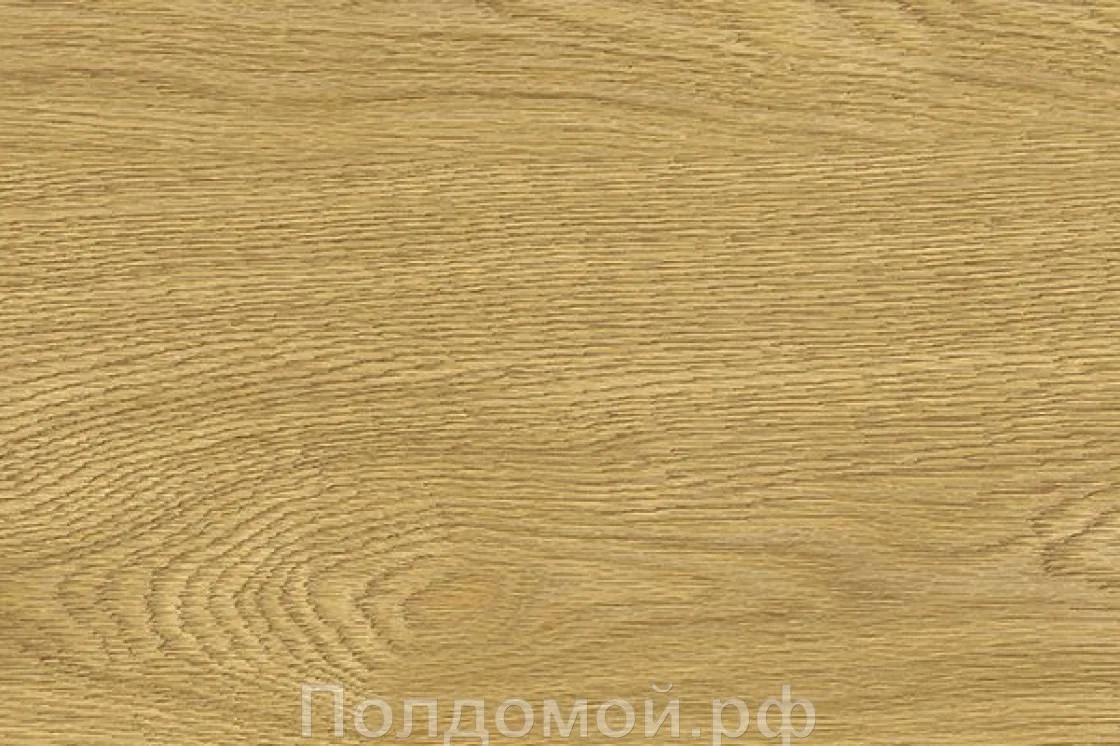Замковое пробковое покрытие с фотопечатью Corkstyle Oak Deluxe