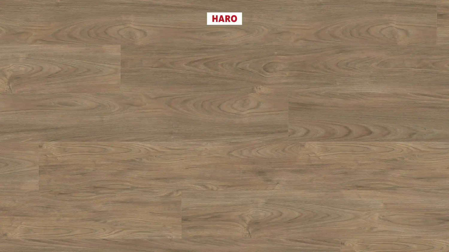 Ламинат Haro Tritty 200 Aqua Gran Via Вяз Варио 544814
