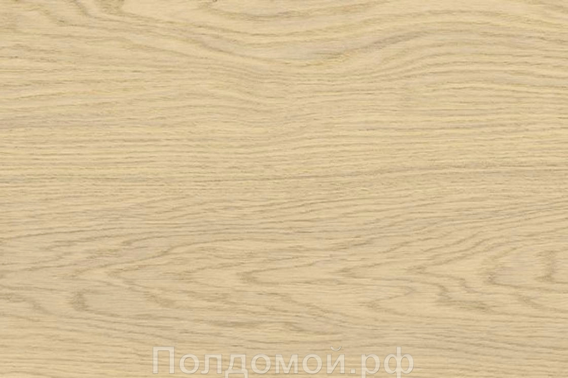 Клеевое пробковое покрытие с фотопечатью Corkstyle Oak Creme